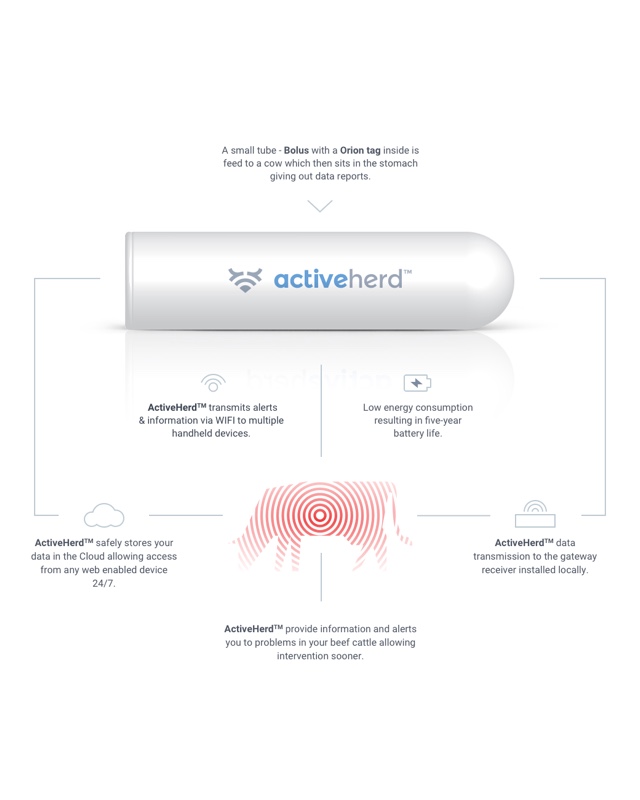 Active Herd web infographic